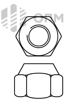 DIN EN ISO 7040 Шестигранная гайка с зажимным элементом с пластиковым кольцом DIN 6924