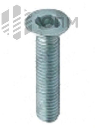 ОПМ 101016 Винт антивандальный, с потайной головкой и однонаправленным приводом Sentinel