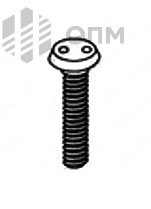 ОПМ 101028 Винт антивандальный, с цилиндрической головкой, привод - 2 отверстия