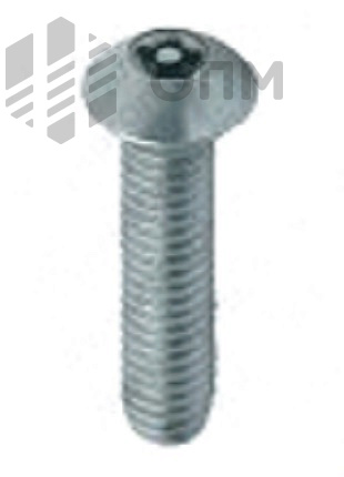 ОПМ 101032 Винт антивандальный, полукруглая головка с внутренним приводом Solok и штырьком 